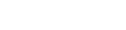 SolidStone